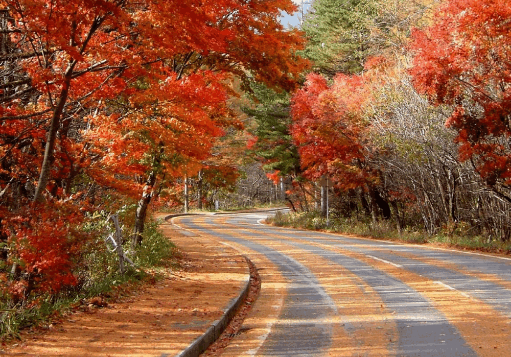 M&ugrave;a thu Nhật Bản